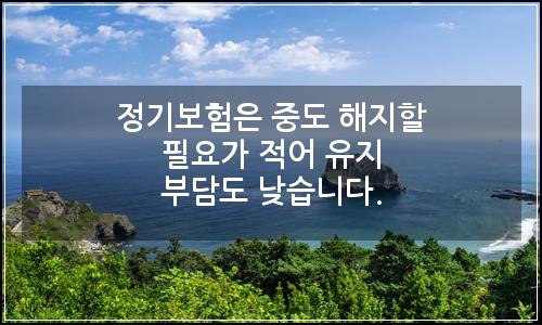 오늘의 이미지