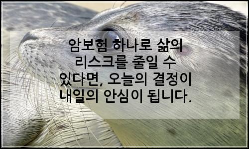오늘의 이미지