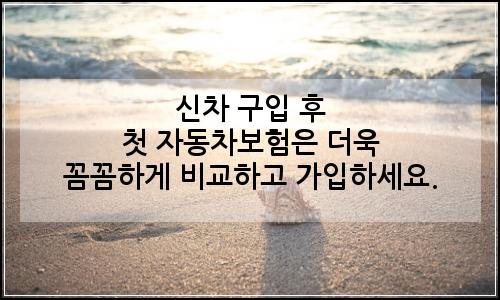 오늘의 이미지