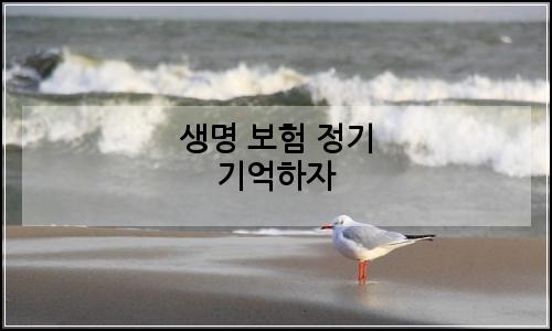 오늘의 이미지