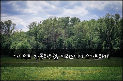  다이렉트 자동차보험, 메리츠에서 스마트하게