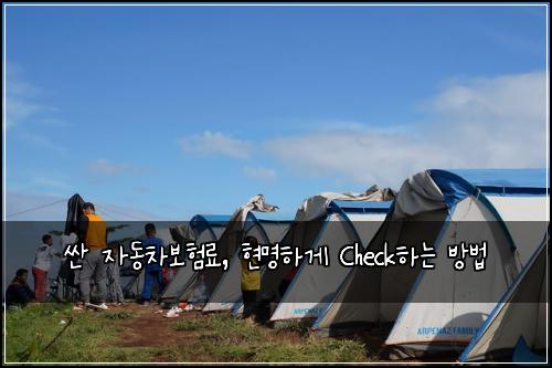  싼 자동차보험료, 현명하게 Check하는 방법