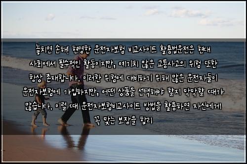  놓치면 손해! 현명한 운전자보험 비교사이트 활용법

운전은 현대 사회에서 필수적인 활동이지만, 예기치 않은 교통사고의 위험 또한 항상 존재합니다. 이러한 위험에 대비하기 위해 많은 운전자들이 운전자보험에 가입하지만, 어떤 상품을 선택해야 할지 막막할 때가 많습니다. 이럴 때 운전자보험비교사이트 방법을 활용하면 자신에게 꼭 맞는 보장을 합리