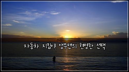 자동차 지킴이! 앵무맨의 현명한 선택