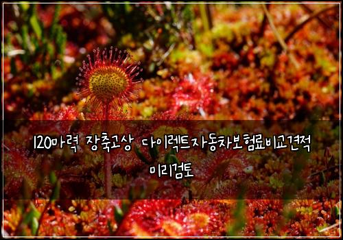 120๋ง๋ ฅ ์ฅ์ถ๊ณ ์ ๋ค์ด๋ ํธ์๋์ฐจ๋ณดํ๋ฃ๋น๊ต๊ฒฌ์ ๋ฏธ๋ฆฌ๊ฒํ