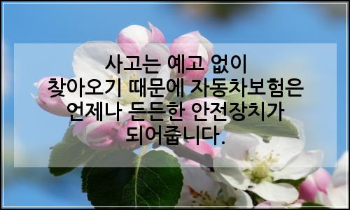 오늘의 이미지