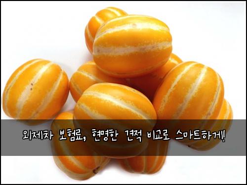 외제차 보험료, 현명한 견적 비교로 스마트하게!
