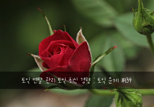 토익 멘탈 관리 토익 최신 경향 : 토익 문제 #134