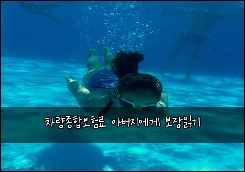 차량종합보험료 아버지에게 보장읽기
