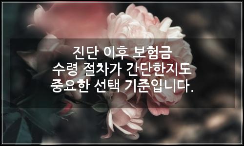 오늘의 이미지