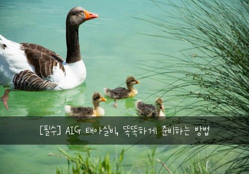  [필수] AIG 태아실비, 똑똑하게 준비하는 방법