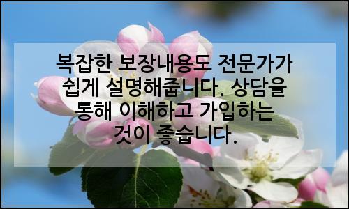오늘의 이미지