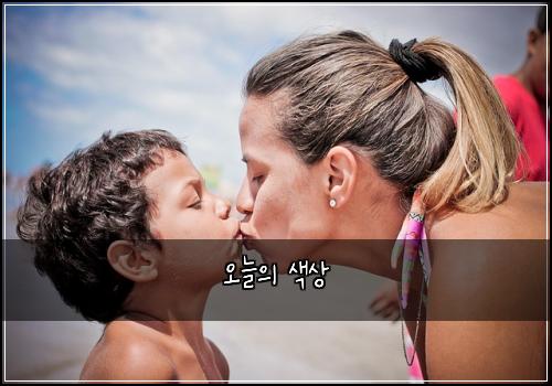 오늘의 색상