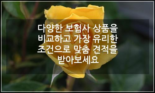오늘의 이미지