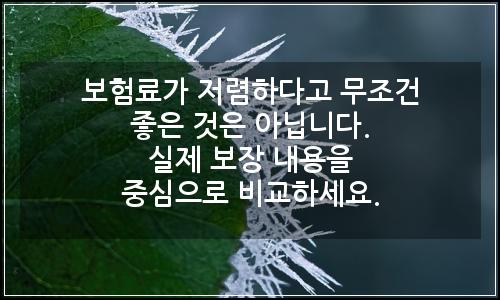 오늘의 이미지