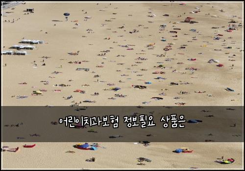 어린이치과보험 정보필요  상품은