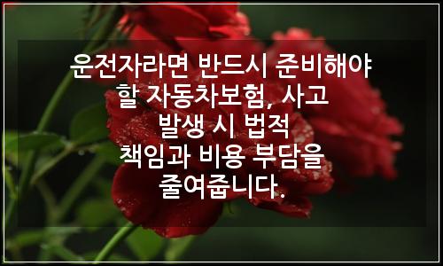 오늘의 이미지