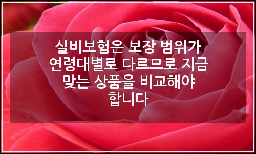 오늘의 이미지