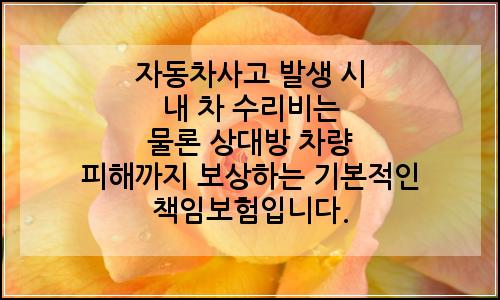 오늘의 이미지