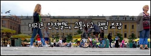 메리츠 안전벨트, 교통사고 책임 보장