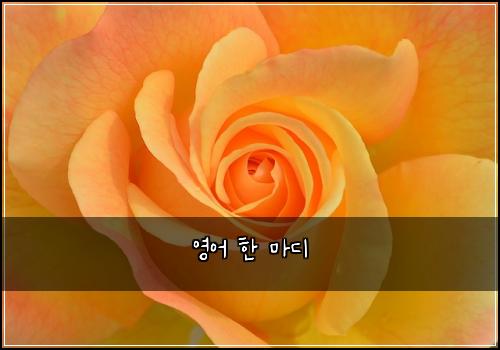 ์์ด ํ ๋ง๋