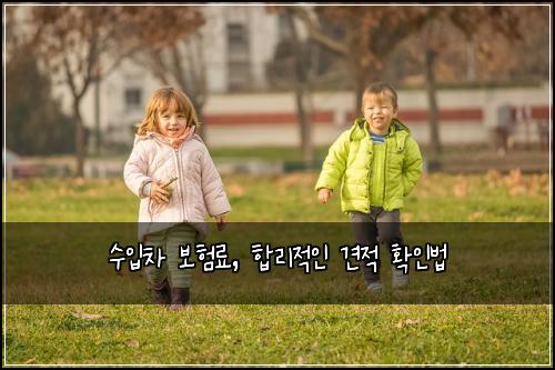 수입차 보험료, 합리적인 견적 확인법