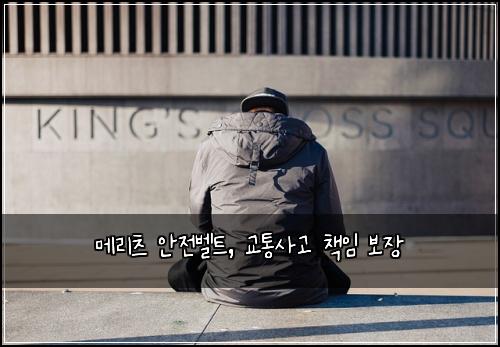 메리츠 안전벨트, 교통사고 책임 보장