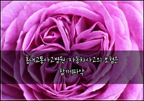 홍대교통사고병원 자동차사고의 보험은 함께파악