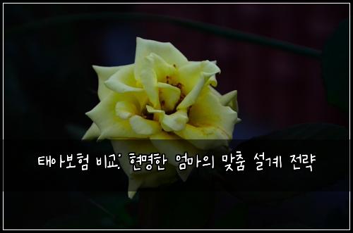 태아보험 비교: 현명한 엄마의 맞춤 설계 전략