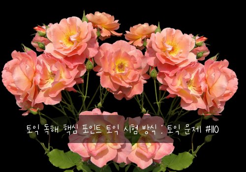 토익 독해 핵심 포인트 토익 시험 방식 : 토익 문제 #110