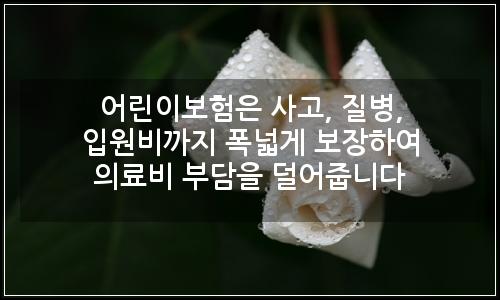 오늘의 이미지