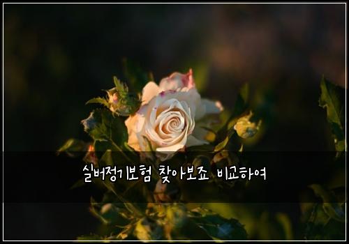 실버정기보험 찾아보죠  비교하여