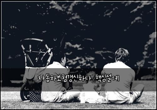 ์๋์ฐจ๋ณดํ๊ฐฑ์ ํ๋ค ํต์ฌ์ค๊ณ
