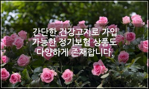 오늘의 이미지