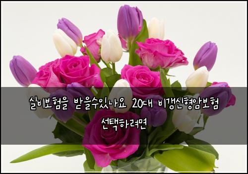 ์ค๋น๋ณดํ์ ๋ฐ์์์๋์ 20๋ ๋น๊ฐฑ์ ํ์๋ณดํ ์ ํํ๋ ค๋ฉด