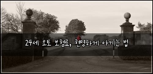 24세 오토 보험료, 현명하게 아끼는 법