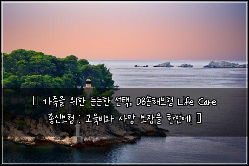  ✨ 가족을 위한 든든한 선택, DB손해보험 Life Care 종신보험 : 교육비와 사망 보장을 한번에! ✨