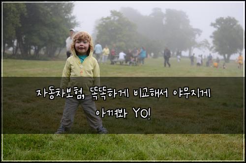 자동차보험, 똑똑하게 비교해서 야무지게 아껴봐 YO!
