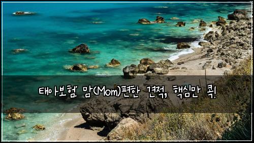 태아보험: 맘(Mom)편한 견적, 핵심만 콕!