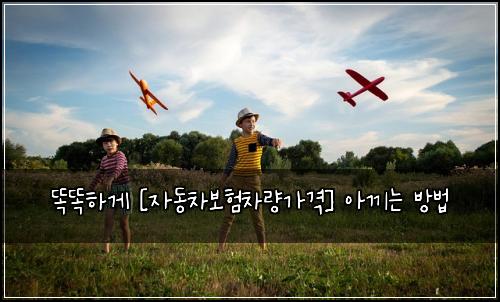  똑똑하게 [자동차보험차량가격] 아끼는 방법