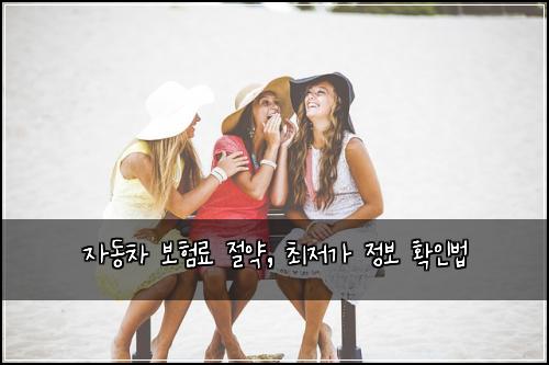 자동차 보험료 절약, 최저가 정보 확인법