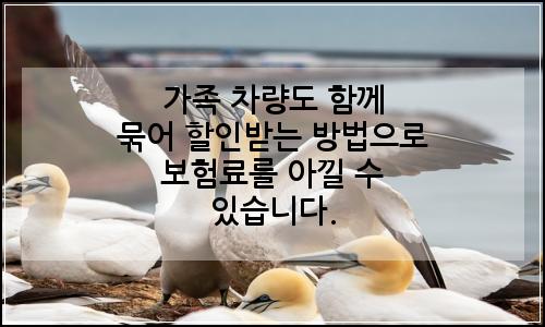 오늘의 이미지