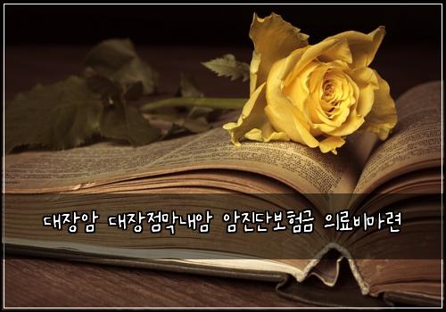 대장암 대장점막내암 암진단보험금 의료비마련