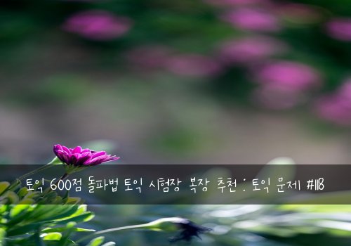 토익 600점 돌파법 토익 시험장 복장 추천 : 토익 문제 #118