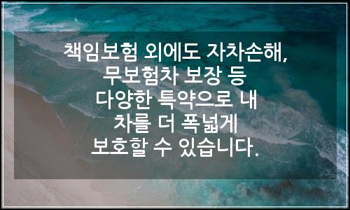 오늘의 이미지