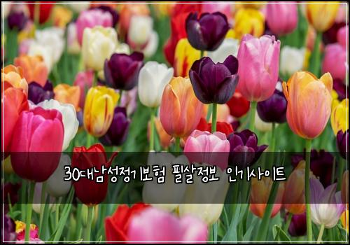 30๋๋จ์ฑ์ ๊ธฐ๋ณดํ ํ์ด์ ๋ณด ์ธ๊ธฐ์ฌ์ดํธ