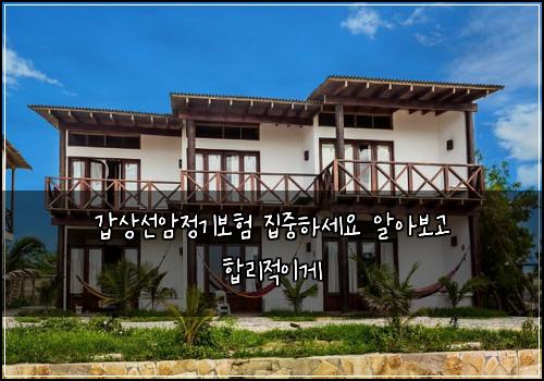 갑상선암정기보험 집중하세요  알아보고 합리적이게