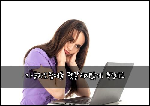 ์๋์ฐจ๋ณดํ๋๋ฌผ ํท๊ฐ๋ฆฌ์ง์๊ฒ ํน์ง๋น๊ต