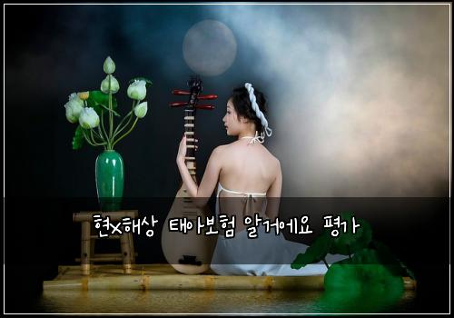 현x해상 태아보험 알거에요  평가