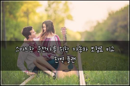  스마트한 운전자를 위한 자동차 보험료 비교 완벽 플랜